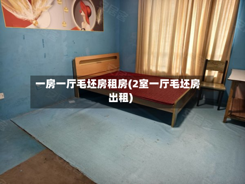一房一厅毛坯房租房(2室一厅毛坯房出租)-第3张图片