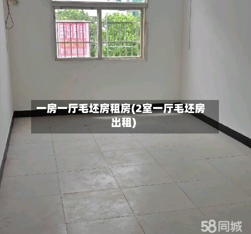 一房一厅毛坯房租房(2室一厅毛坯房出租)
