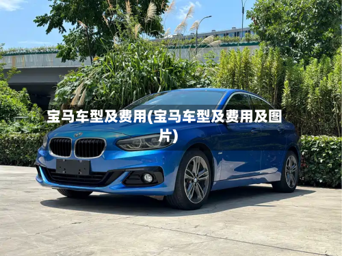 宝马车型及费用(宝马车型及费用及图片)
