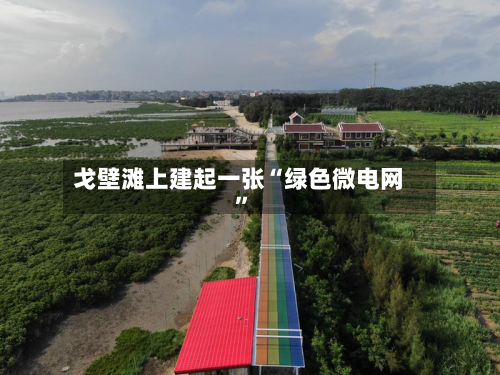 戈壁滩上建起一张“绿色微电网”-第2张图片