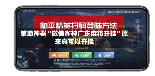 辅助神器“微信雀神广东麻将开挂”原来真可以开挂-第2张图片