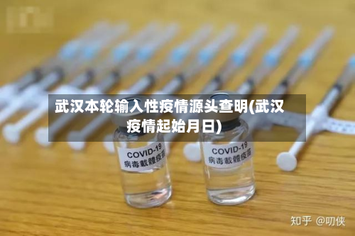武汉本轮输入性疫情源头查明(武汉疫情起始月日)