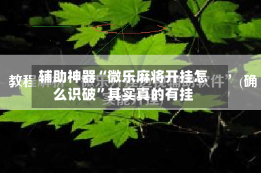 辅助神器“微乐麻将开挂怎么识破”其实真的有挂-第3张图片