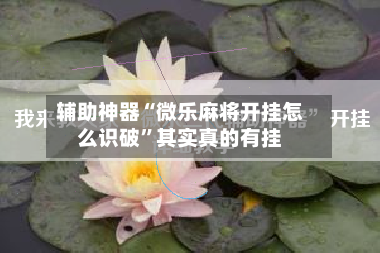 辅助神器“微乐麻将开挂怎么识破	”其实真的有挂-第2张图片