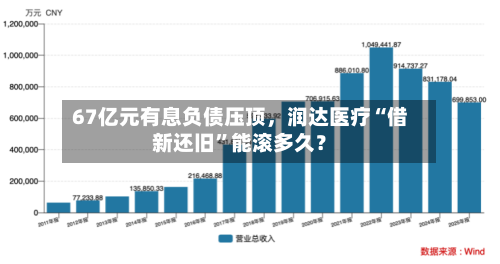 67亿元有息负债压顶，润达医疗“借新还旧”能滚多久？-第2张图片