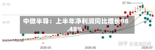 中微半导:上半年净利润同比增长98.48%-第2张图片