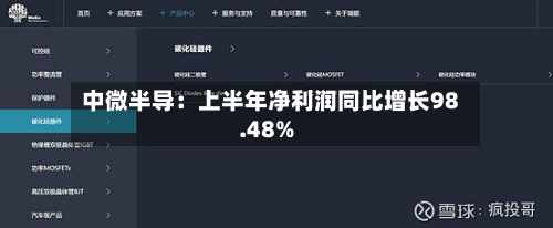 中微半导:上半年净利润同比增长98.48%-第1张图片