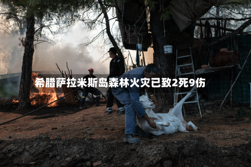 希腊萨拉米斯岛森林火灾已致2死9伤