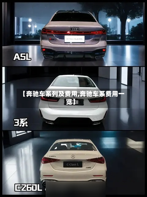 【奔驰车系列及费用,奔驰车系费用一览】