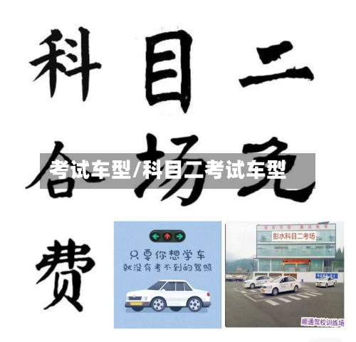 考试车型/科目二考试车型