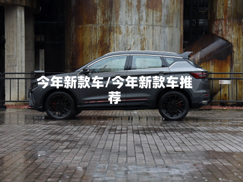 今年新款车/今年新款车推荐