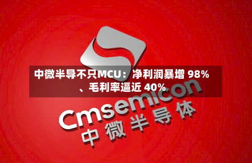 中微半导不只MCU：净利润暴增 98%	、毛利率逼近 40%-第2张图片