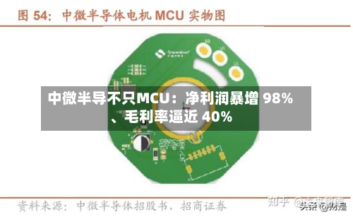 中微半导不只MCU：净利润暴增 98%、毛利率逼近 40%-第3张图片