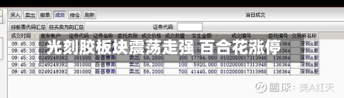 光刻胶板块震荡走强 百合花涨停
