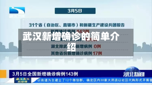 武汉新增确诊的简单介绍