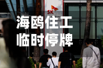 海鸥住工临时停牌！拟筹划控制权变更事项	，公司已连亏三年半-第2张图片