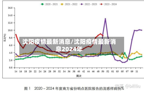 沈阳疫情最新消息/沈阳疫情最新消息2024年