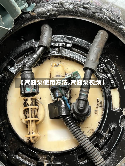 【汽油泵使用方法,汽油泵视频】