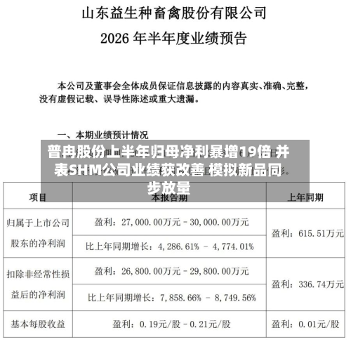 普冉股份上半年归母净利暴增19倍 并表SHM公司业绩获改善 模拟新品同步放量-第2张图片