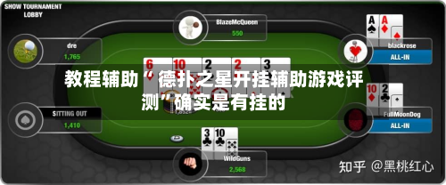 教程辅助“ 德扑之星开挂辅助游戏评测”确实是有挂的-第2张图片