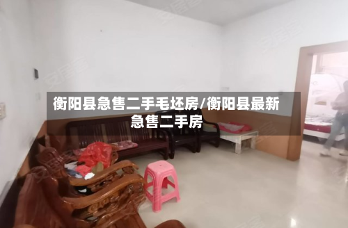 衡阳县急售二手毛坯房/衡阳县最新急售二手房-第3张图片