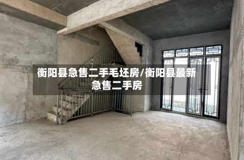 衡阳县急售二手毛坯房/衡阳县最新急售二手房-第2张图片