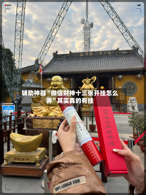 辅助神器“微信财神十三张开挂怎么弄”其实真的有挂-第2张图片