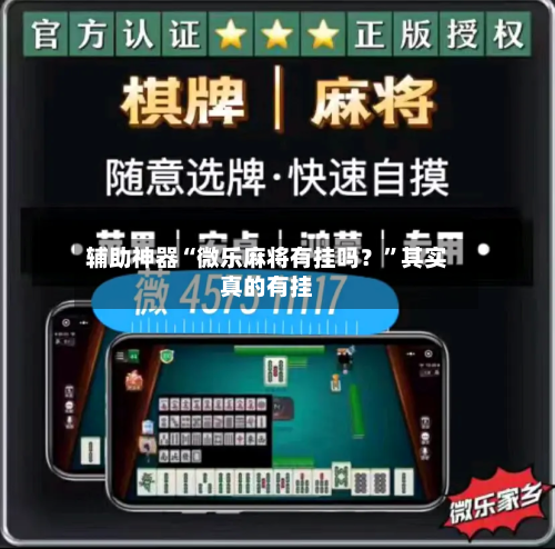辅助神器“微乐麻将有挂吗？”其实真的有挂-第3张图片