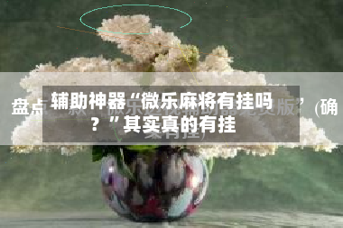 辅助神器“微乐麻将有挂吗？	”其实真的有挂-第2张图片