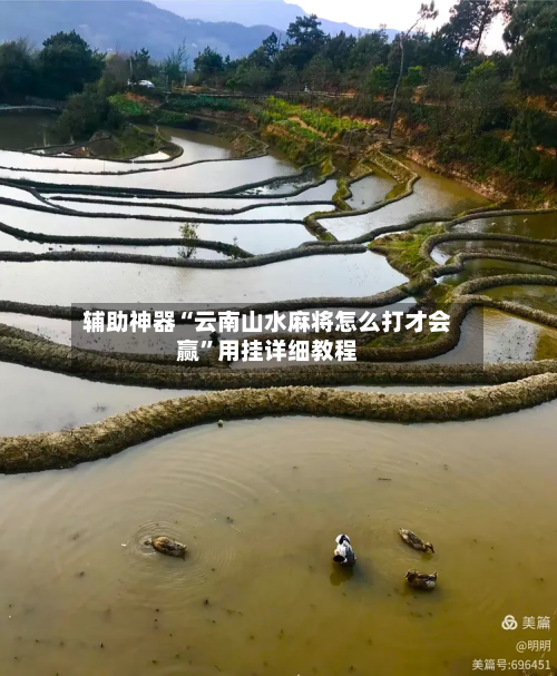 辅助神器“云南山水麻将怎么打才会赢”用挂详细教程-第3张图片