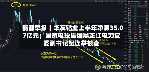 能源早报|华友钴业上半年净赚35.07亿元;国家电投集团黑龙江电力党委副书记纪连举被查-第2张图片