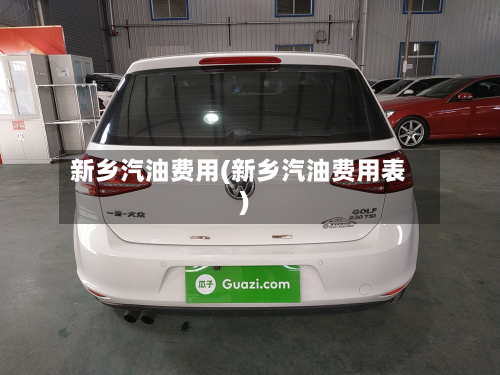 新乡汽油费用(新乡汽油费用表)-第2张图片