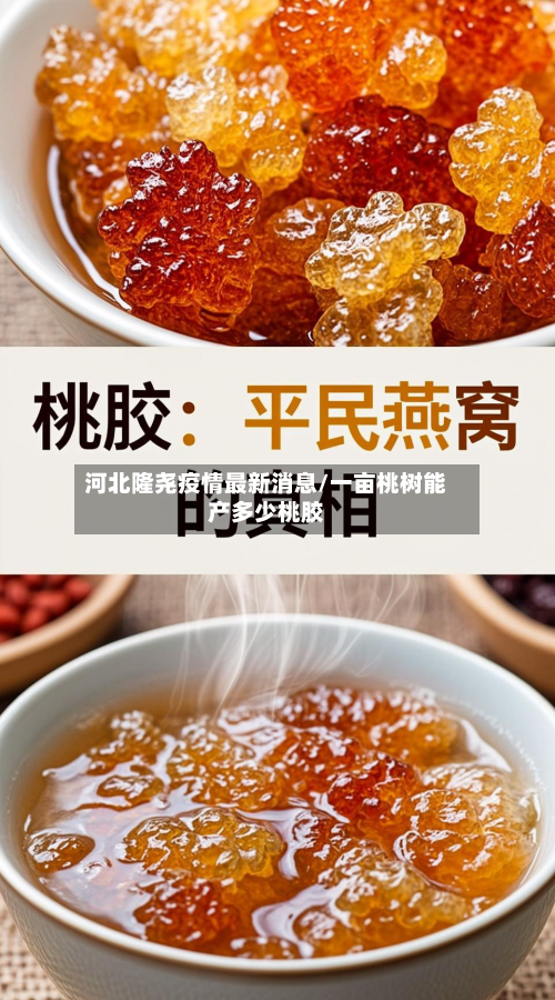 河北隆尧疫情最新消息/一亩桃树能产多少桃胶-第3张图片