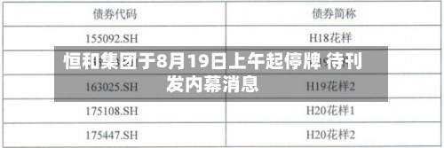 恒和集团于8月19日上午起停牌 待刊发内幕消息-第2张图片