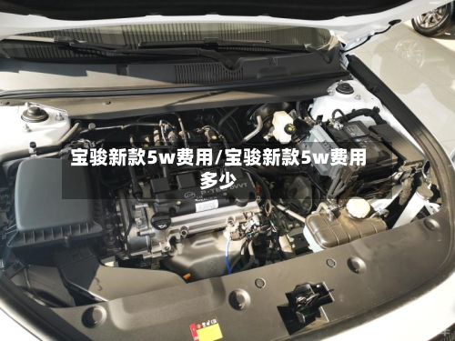 宝骏新款5w费用/宝骏新款5w费用多少-第2张图片