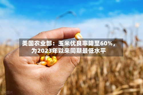 美国农业部：玉米优良率降至60%，为2023年以来同期最低水平-第1张图片
