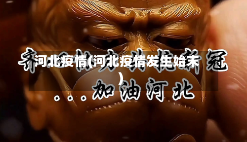 河北疫情(河北疫情发生始末)