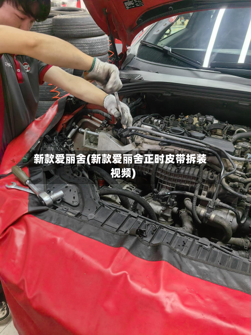 新款爱丽舍(新款爱丽舍正时皮带拆装视频)-第2张图片