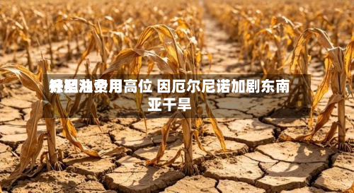 棕榈油费用升至八个月高位 因厄尔尼诺加剧东南亚干旱
