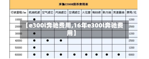 【e300l奔驰费用,16年e300l奔驰费用】