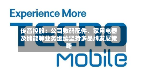 传音控股：公司数码配件、家用电器及储能等业务继续坚持多品牌发展策略-第1张图片
