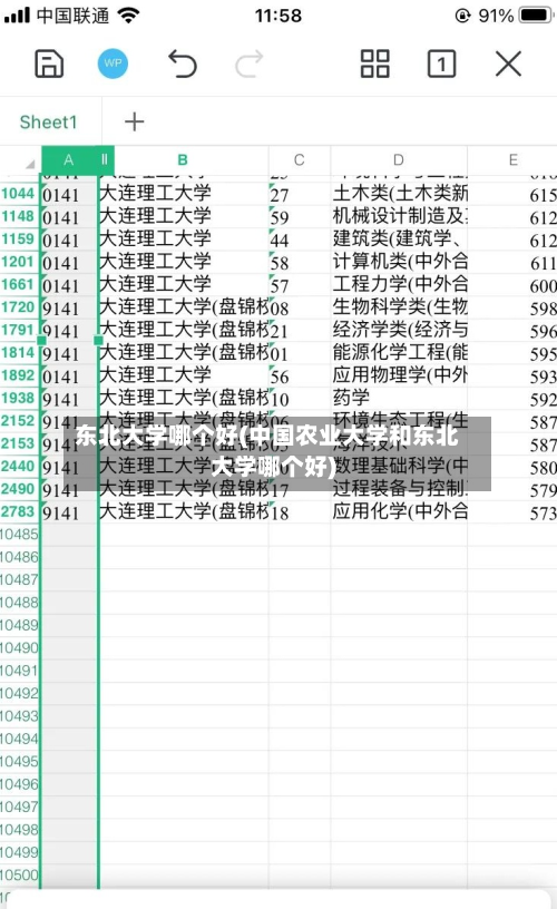 东北大学哪个好(中国农业大学和东北大学哪个好)-第2张图片