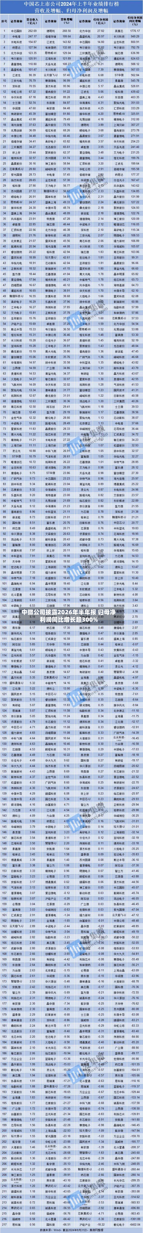 中微公司披露2026年半年报 归母净利润同比增长超300%-第1张图片