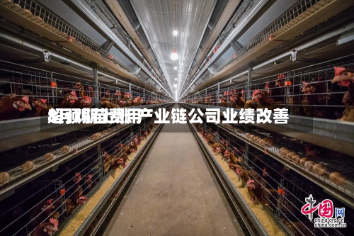 8月鸡苗费用
超预期上涨 产业链公司业绩改善-第2张图片