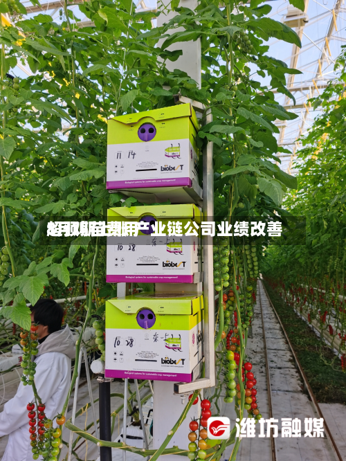 8月鸡苗费用
超预期上涨 产业链公司业绩改善-第3张图片