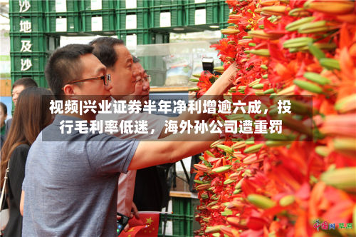 视频|兴业证券半年净利增逾六成，投行毛利率低迷，海外孙公司遭重罚