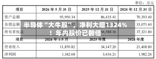半导体“大牛股”，净利大增1324%！年内股价已翻倍