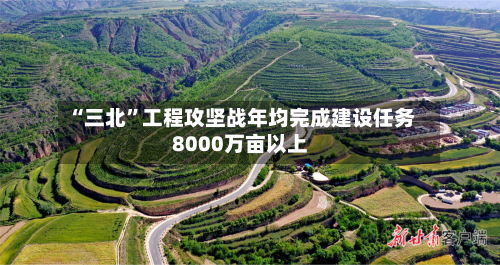 “三北”工程攻坚战年均完成建设任务8000万亩以上-第2张图片