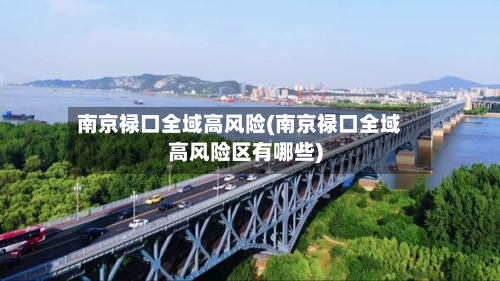 南京禄口全域高风险(南京禄口全域高风险区有哪些)-第2张图片