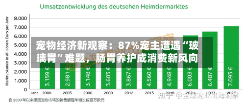 宠物经济新观察：87%宠主遭遇“玻璃胃”难题，肠胃养护成消费新风向-第3张图片